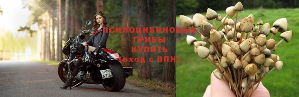 гашиш Россошь