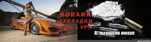 кокс Ростов