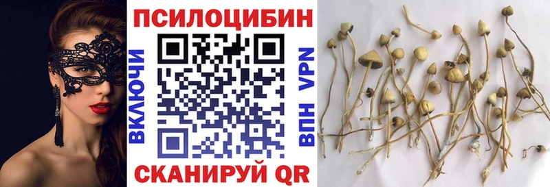 Псилоцибиновые грибы Psilocybe ОМГ ОМГ ссылка Ленск